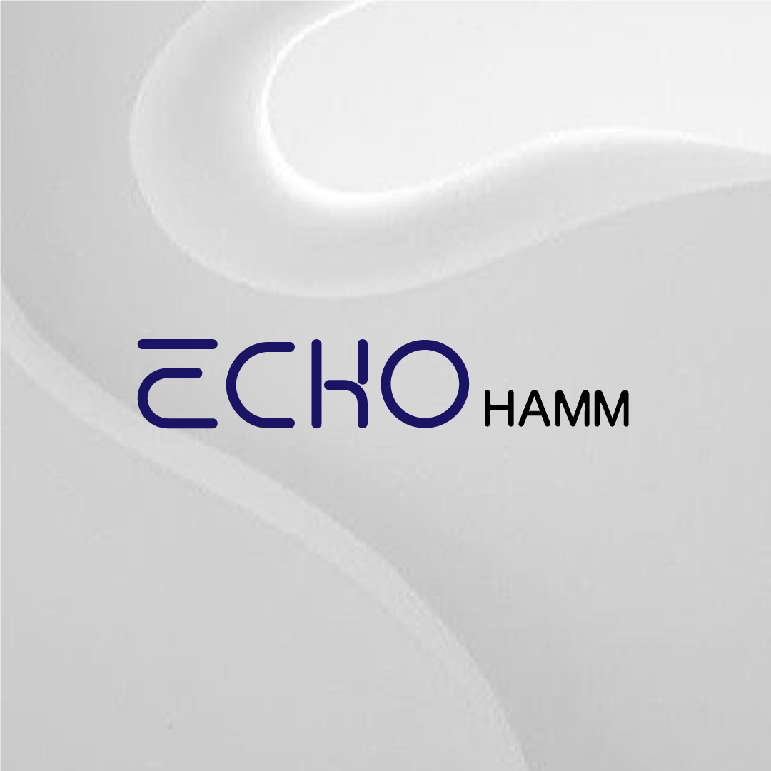 Echo Hamm Project Preview